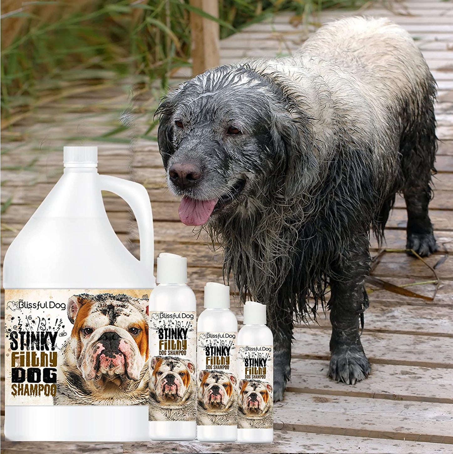 Stinky Filthy Dog Shampoo